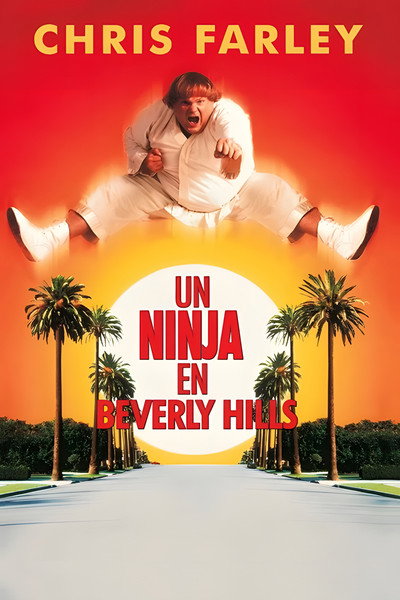Beverly Hills Ninja