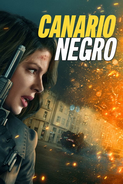 Canario negro