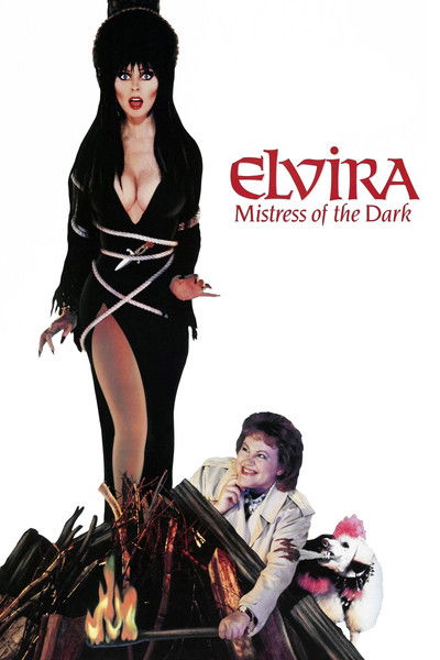 Elvira: misterio de la obscuridad