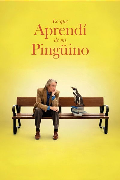Lecciones De Un Pingüino