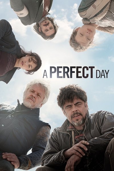 Un dia perfecte