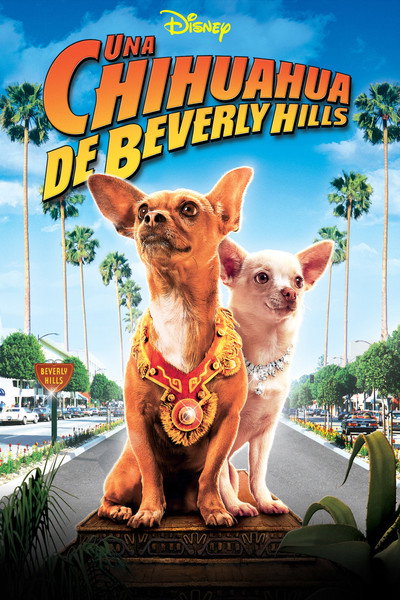 Póster de Una Chihuahua de Beverly Hills