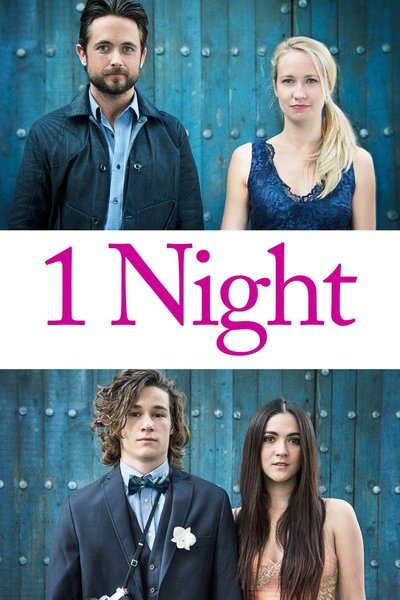 Póster de 1 Night