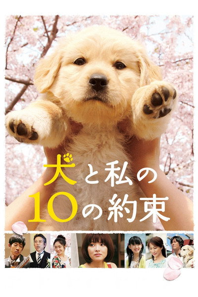 Póster de 10 Promises to My Dog