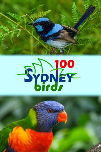 Póster de 100 Sydney Birds