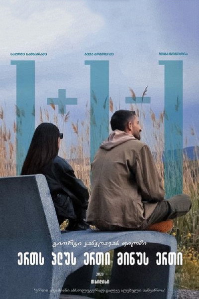 Póster de 1+1-1