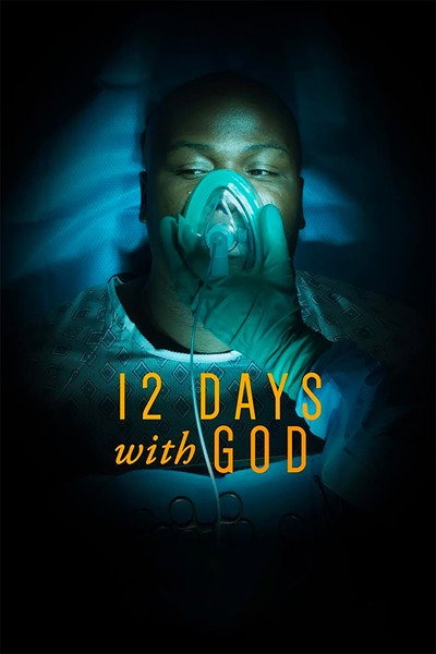 Póster de 12 Days with God