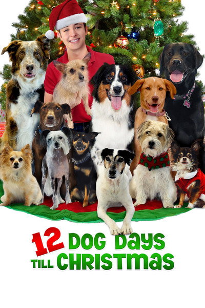 Póster de 12 días para Navidad