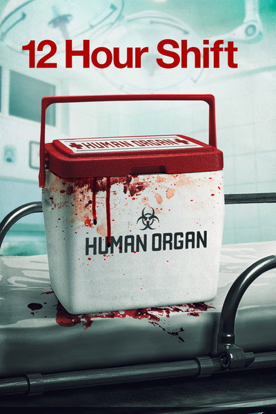 Póster de 12 Hour Shift