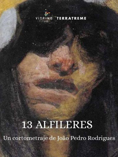 Póster de 13 Alfinetes