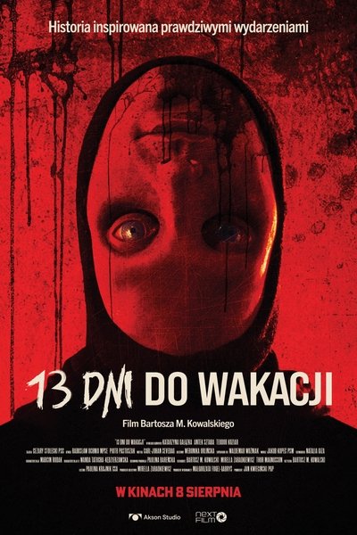 Póster de 13 Days Till Summer