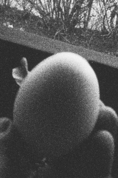 Póster de 13 Eggs