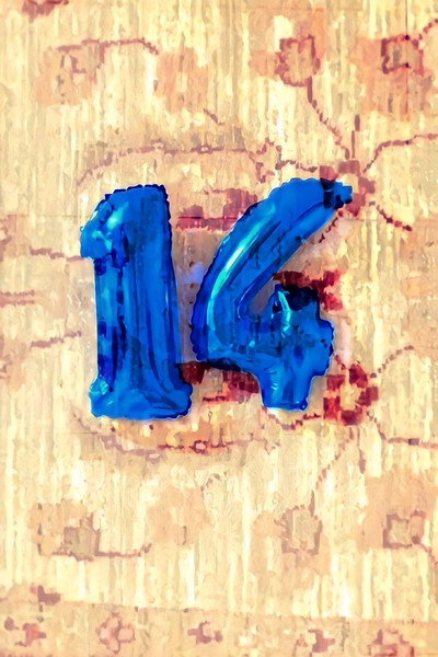 Póster de 14
