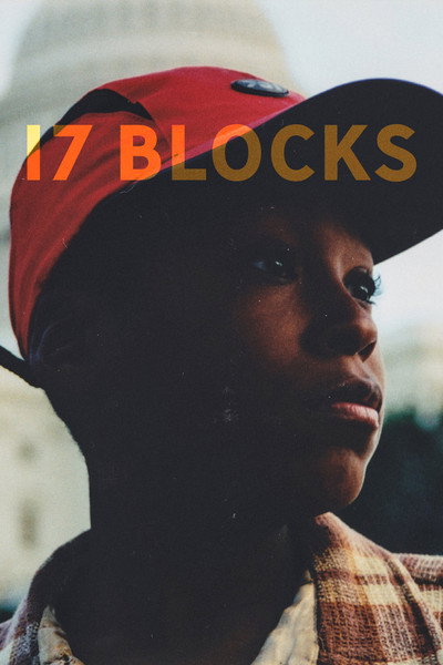 Póster de 17 Blocks