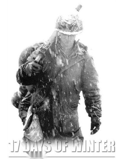 Póster de 17 Days of Winter