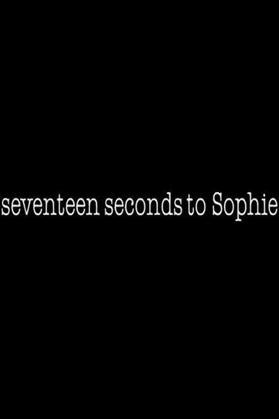 Póster de 17 Seconds to Sophie