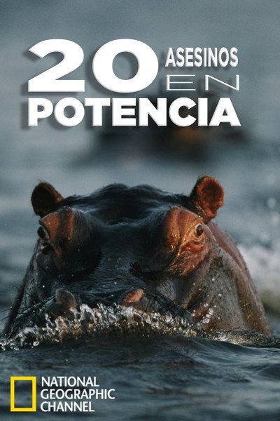 Póster de 20 Animals That Will Kill You