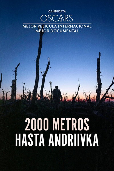 Póster de 2000 Meters to Andriivka