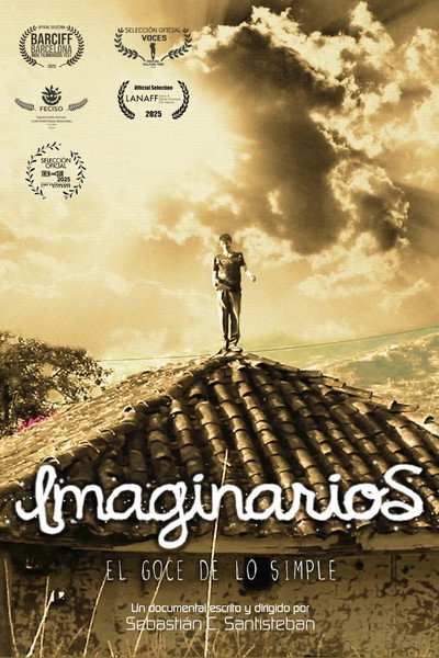 Póster de 2013: Imaginarios, el goce de lo simple
