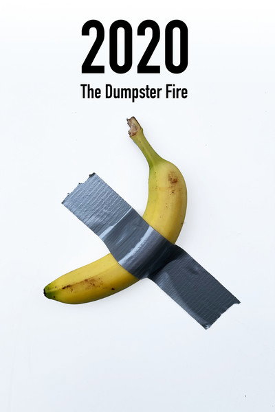 Póster de 2020: The Dumpster Fire