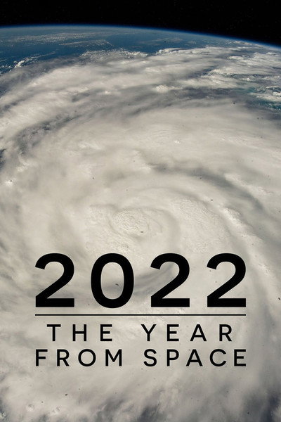 Póster de 2022: The Year from Space