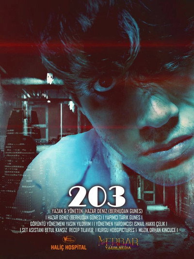 Póster de 203