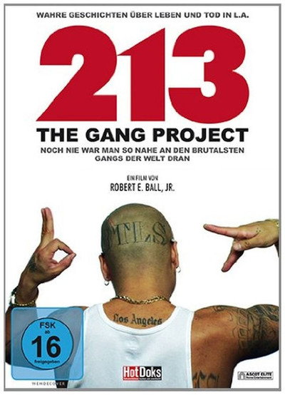 Póster de 213 - The Gang Project