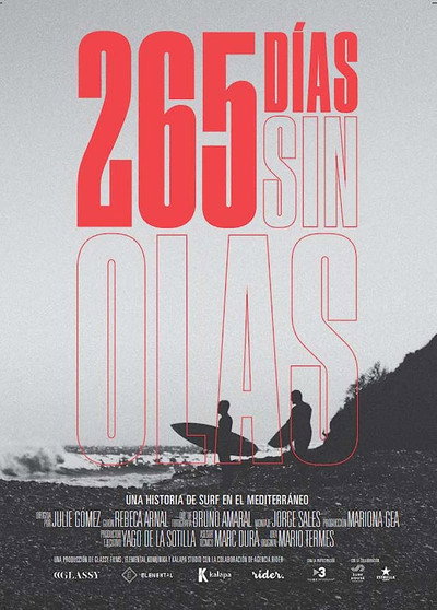 Póster de 265 Dias sin olas