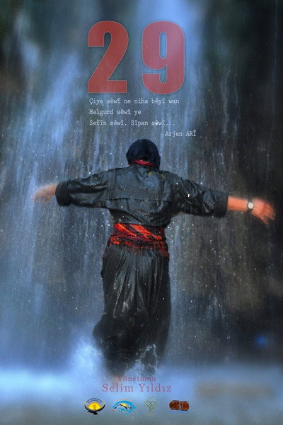 Póster de 29