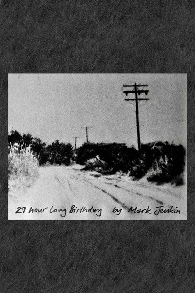 Póster de 29 Hour Long Birthday