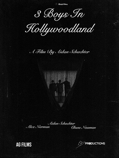 Póster de 3 Boys in Hollywoodland