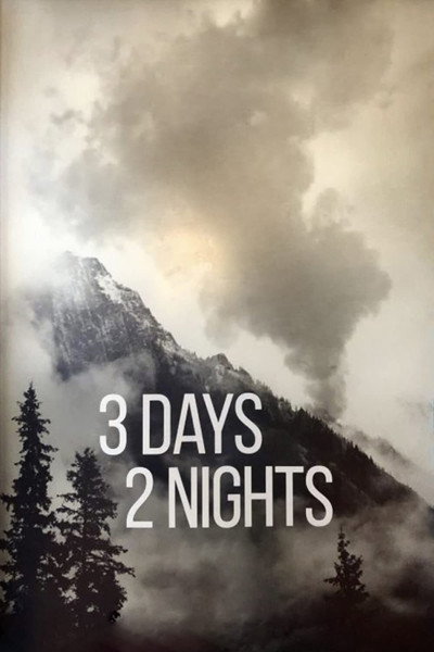 Póster de 3 Days 2 Nights
