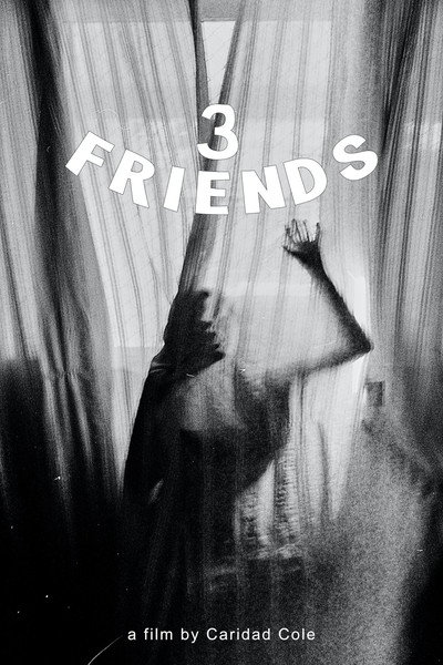 Póster de 3 Friends