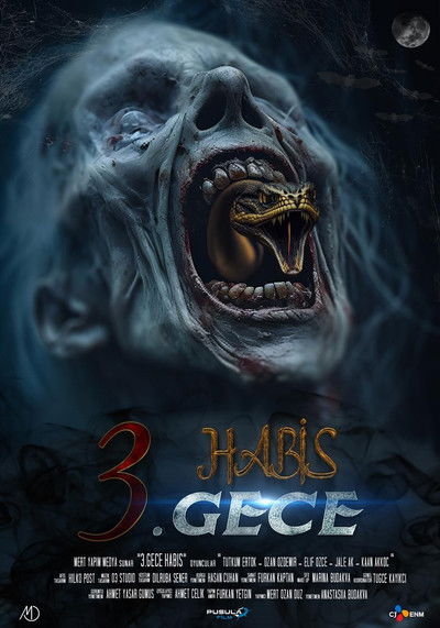 Póster de 3. Gece Habis