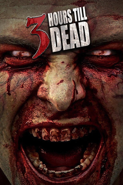 Póster de 3 Hours Till Dead