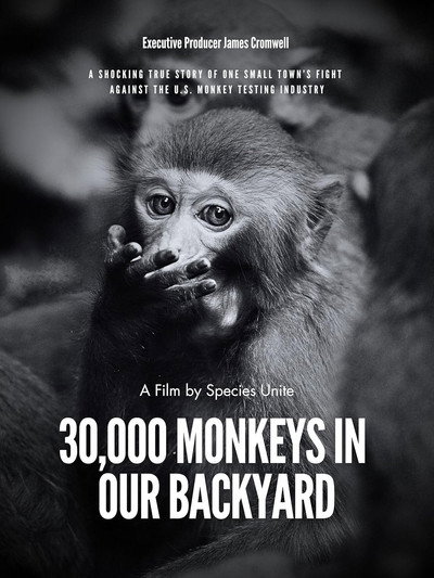 Póster de 30,000 Monkeys in Our Backyard