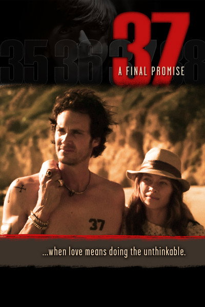 Póster de 37: A Final Promise