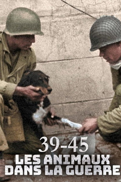 Póster de 39-45, les animaux dans la guerre