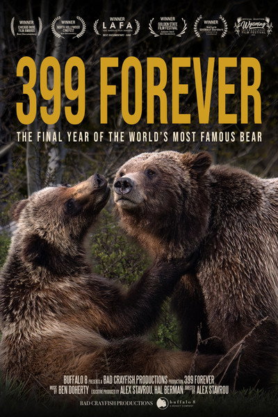 Póster de 399 Forever