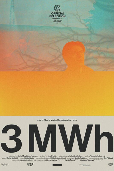 Póster de 3MWh