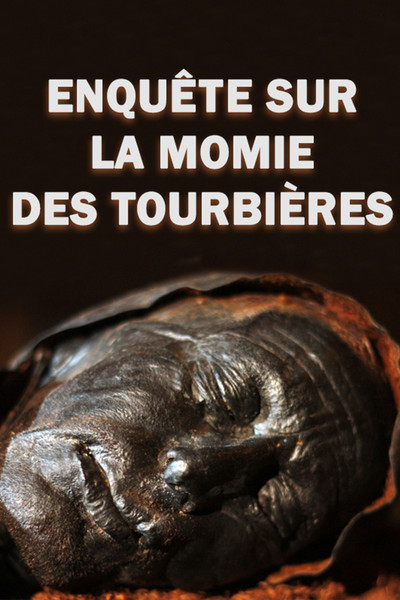 Póster de 4,000-Year-Old Cold Case: The Body in the Bog