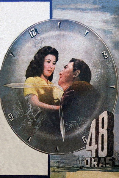 Póster de 48 oras