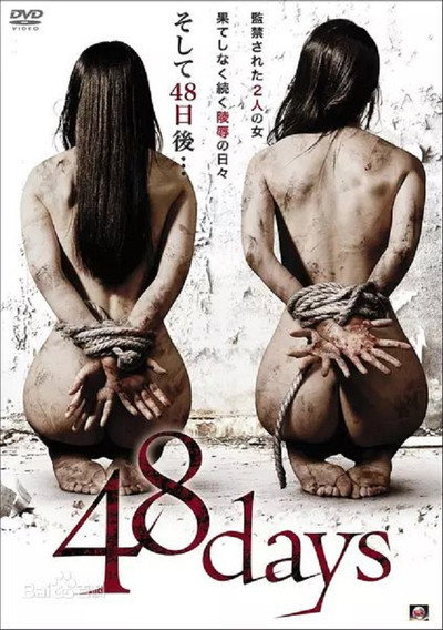 Póster de 48days