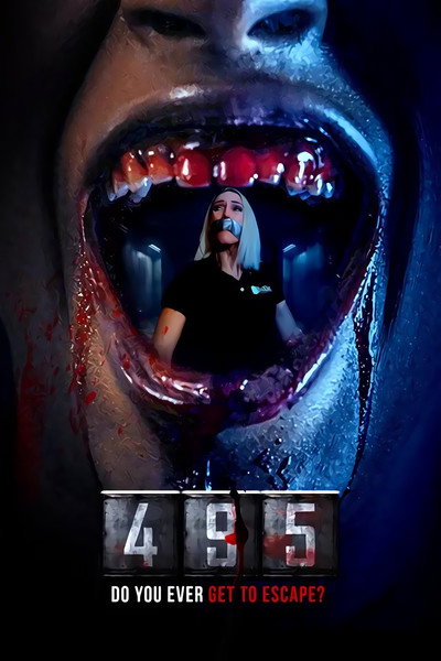 Póster de 495