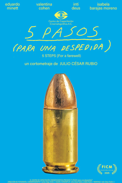 Póster de 5 Pasos (para Una Despedida)