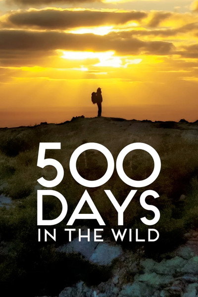 Póster de 500 Days in the Wild