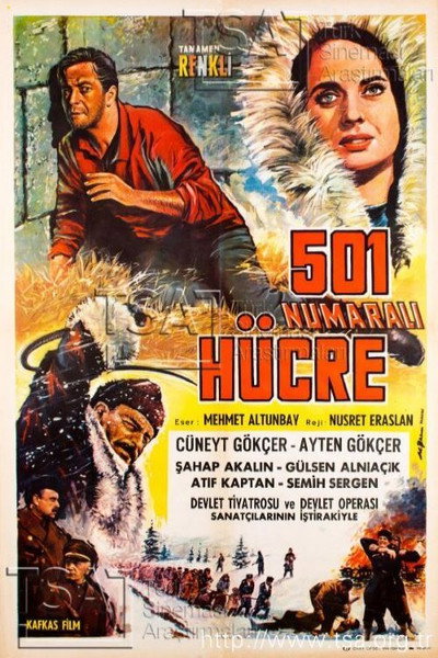 Póster de 501 Numarali Hücre