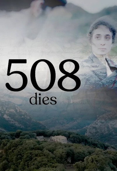 Póster de 508 dies