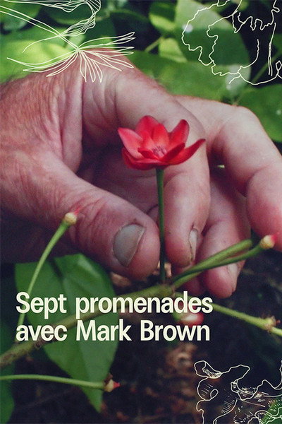 Póster de 7 Walks with Mark Brown