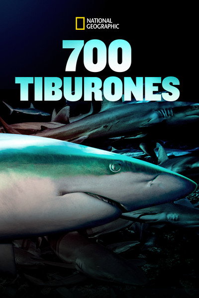 Póster de 700 tiburones